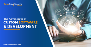 Custom Software Development